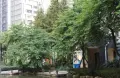 房源图片