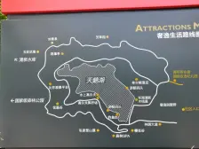 金地湖山大境林荫大道 大大大花园 边位别墅带装修