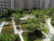 金帝天澜 3室1厅 东南