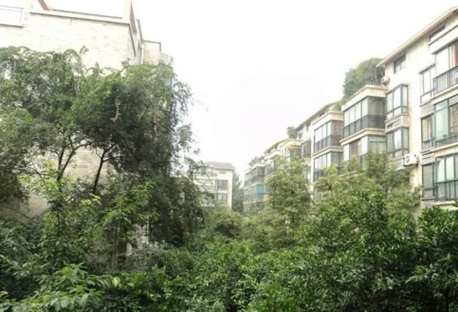 西区花园三期实景图