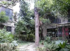 西区花园水云涧 5室1厅 东南