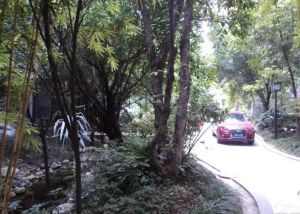 西区花园水云涧2室1厅东南