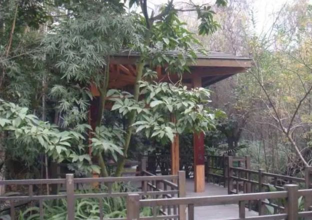 西区花园三期实景图