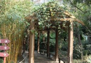 西区花园水云涧2室1厅东南