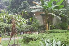 益和苑 3室2厅 西南