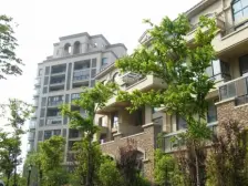 新湖明珠城尼斯苑 5室2厅 南