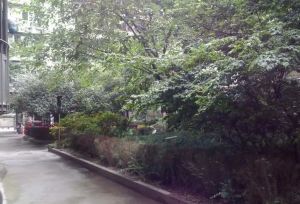 蜀汉路253号3室1厅西南