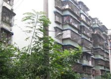 为民路新7号 2室1厅 南