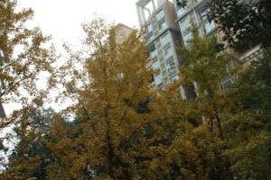 南城都汇汇翠园一期4室2厅南