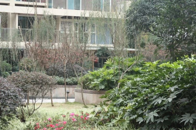 小区相关图
