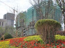 此房 产权清晰 业主急售 中高层 采光好 交通便利