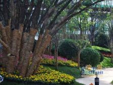 万达商圈 经典户型等您来相会