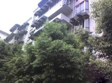 银沙路40号院3室2厅东南