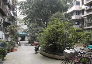 树蓓街104号2室2厅东南