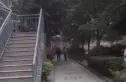 星川福苑实景图