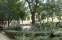 星川福苑实景图