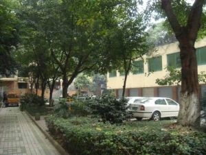 星川福苑 3室1厅 南 北