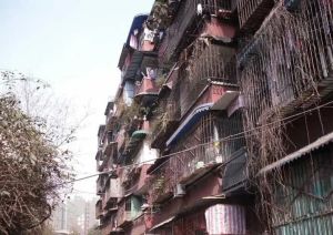 二环路西三段93号1室1厅西东