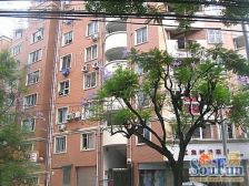 振兴花园麦顶十六烟台山框架结构3房