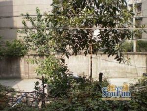 龙舟苑 2室1厅 南