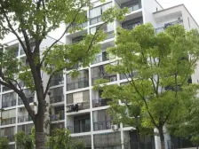 新上 急.售 阳光嘉园 采光刺眼 随心装修 刚需首.选