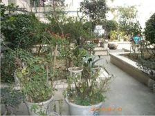 临江路9号 2室1厅 南 北