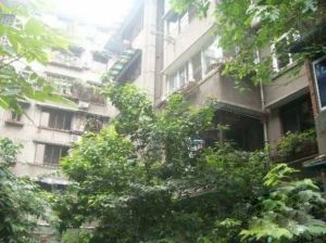 西丁字街5号4室2厅南