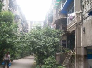 西丁字街5号 2室2厅 南