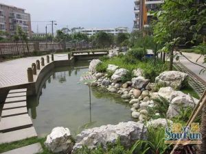 龙锦 2室2厅 东南