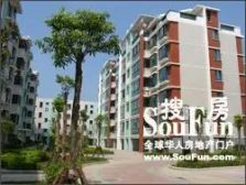 城建嘉园 3室1厅 南