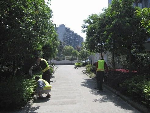 镇安社区实景图