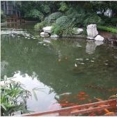 金林半岛4室2厅南
