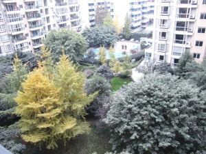 武侯祠横街16号2室1厅东北