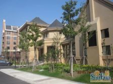 大开间,环境优美,交通便利,居家装修