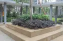 万科金色海蓉一期实景图