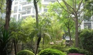 置信巴厘岛A区3室2厅东