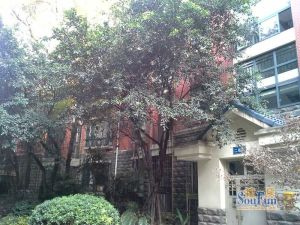 海峡新城四期2室2厅东南