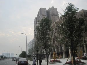 华润银杏华庭3室1厅北