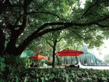 西关海 精装4房3卫 3.4米高 可望江无遮挡