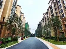 金科世界城高层区(南岸) 3室2厅 南