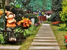 茶园新区 金科世界城(高层)二房