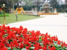 临东站 精装小两房,刚需户型,总价低生活方便