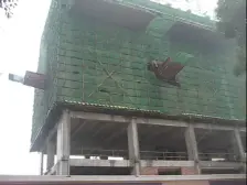 金融广场 1室1厅 东