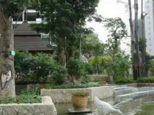 旭日龙园 2室1厅 南