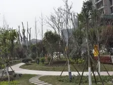 华岩新城 七彩华府四房124.5万