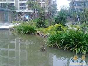 凯旋帝景电梯房东端头全明户型3房