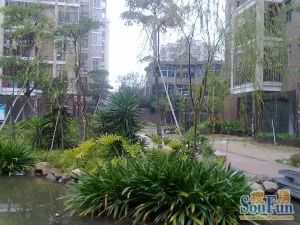 凯旋帝景 鹤上 电梯房 153平 一本证