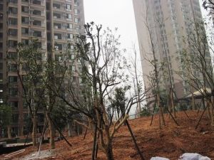 浏阳河公园鑫科明珠精装两房业主诚心出售价格好谈