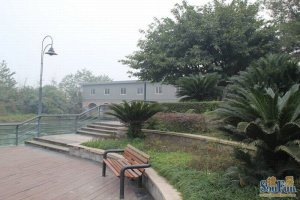 金河谷四期2室1厅西北