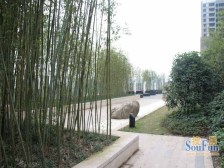 五里店 中维都市美邻三房140万